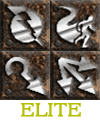 Elite Java Amazon - West Ladder